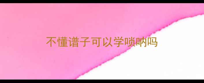 图片 不懂谱子可以学唢呐吗